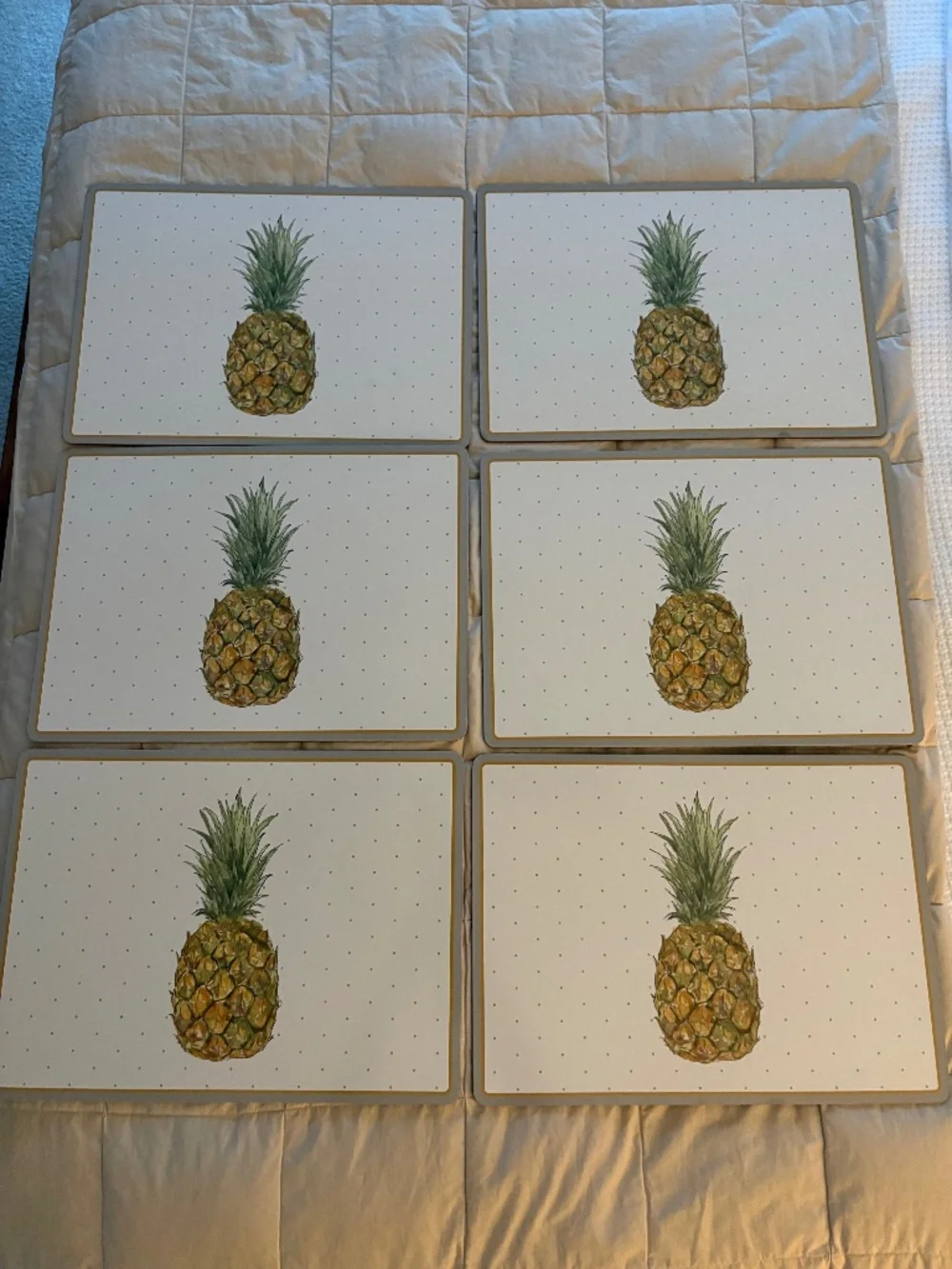 Cork Placemats Pineapple Set of 6 White Gray Gold